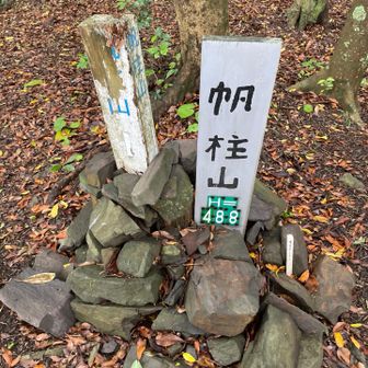 帆柱山にきた