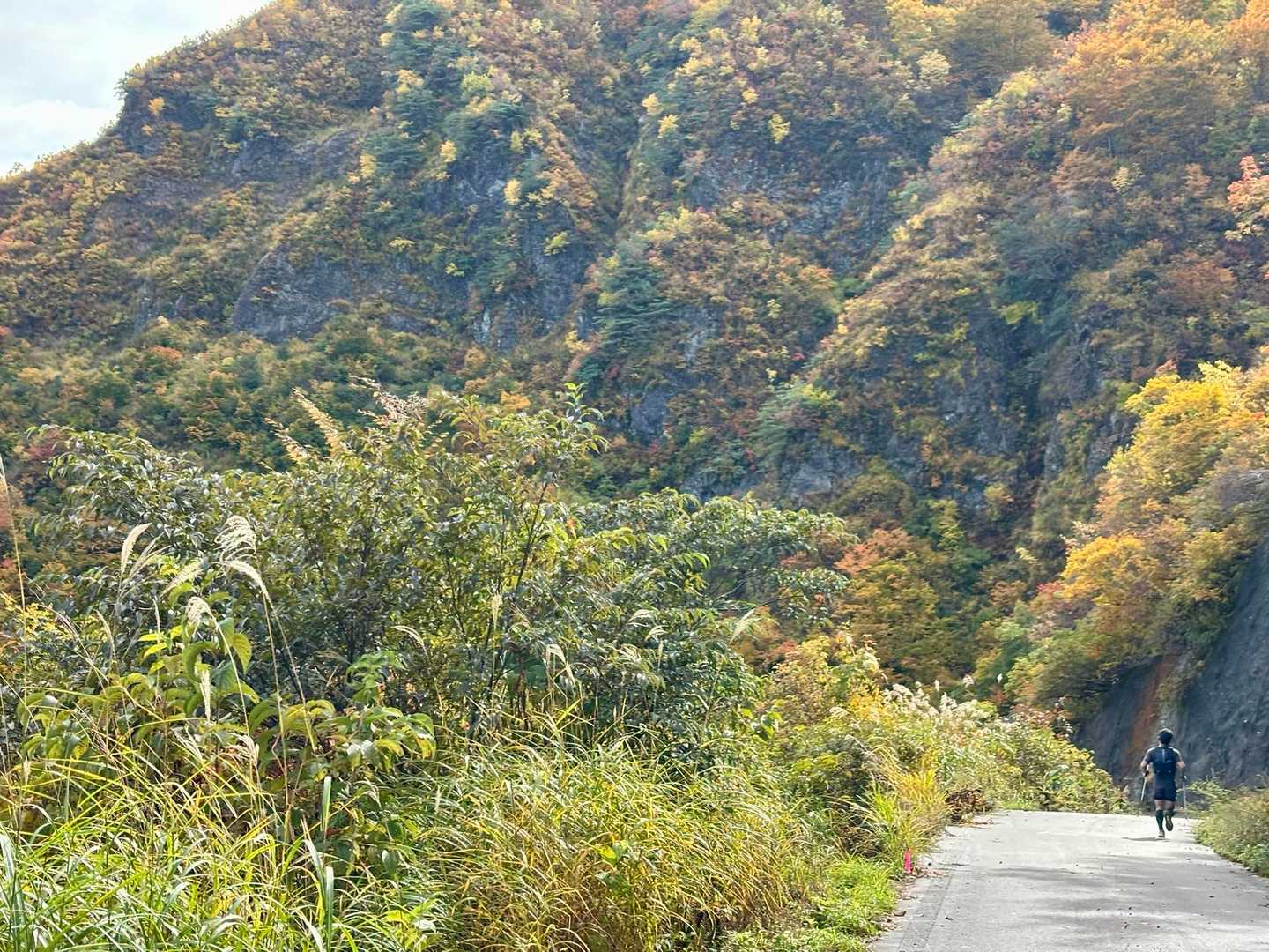 最高な紅葉とオラ👍最高な写真ありがとうございます😊