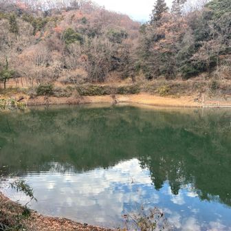 スタート地点すぐ脇のある池