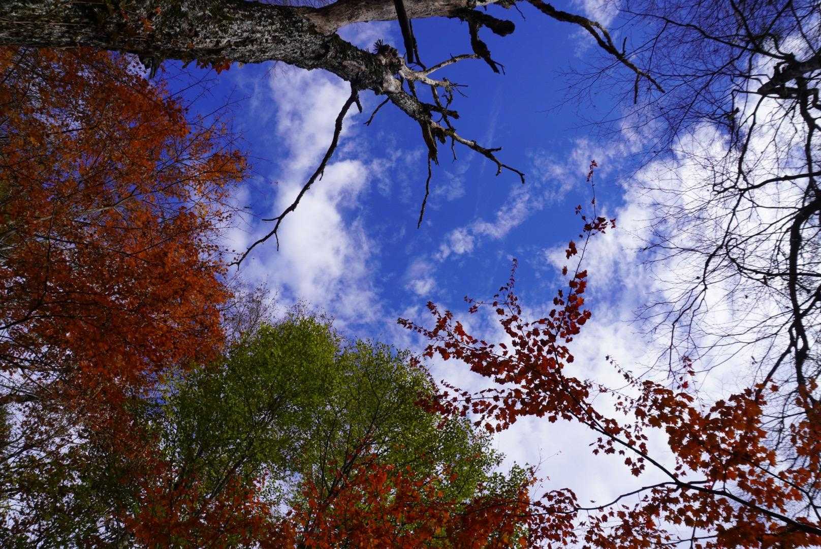 🤗
