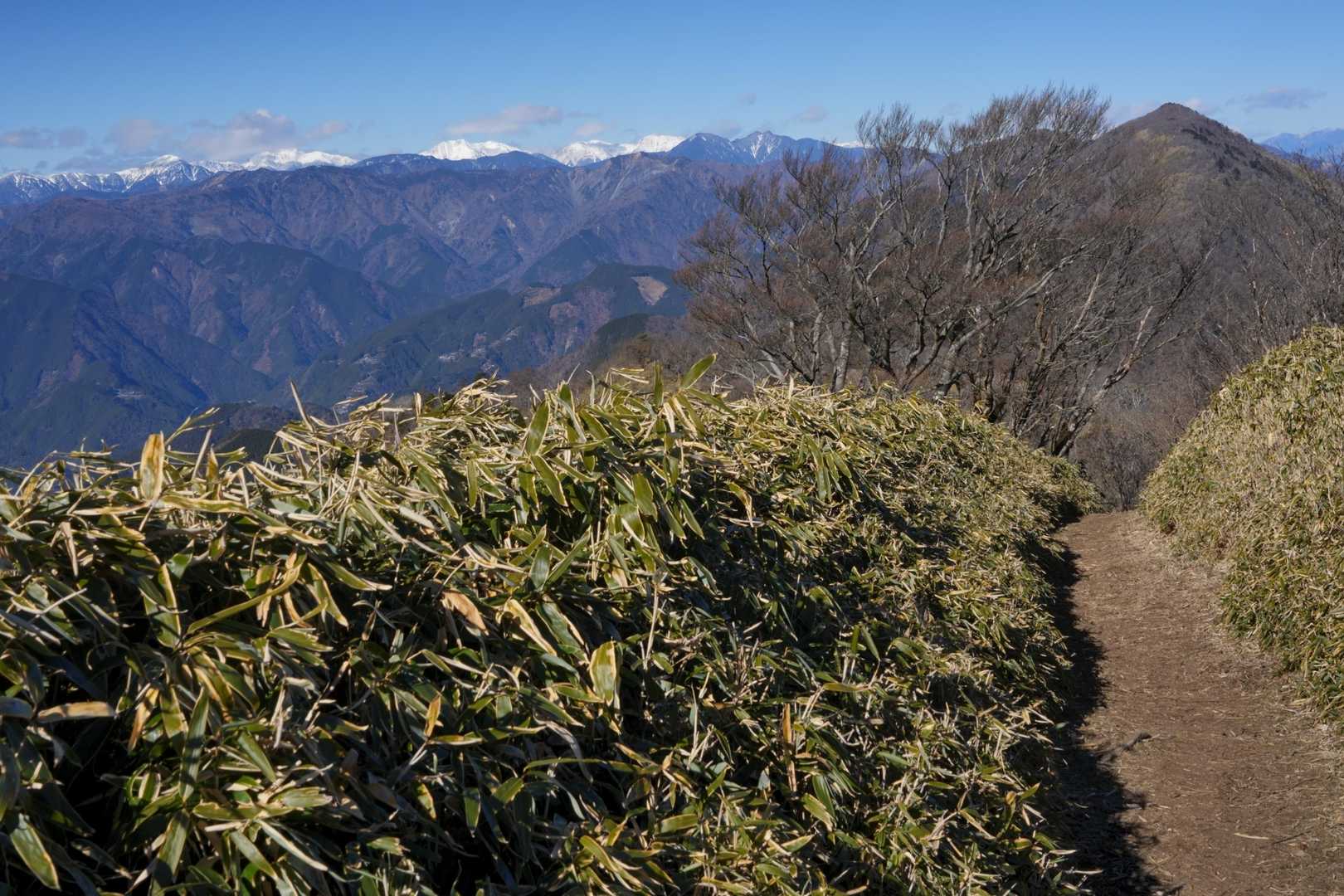南アルプス聖岳、赤石岳、悪沢岳もクッキリ