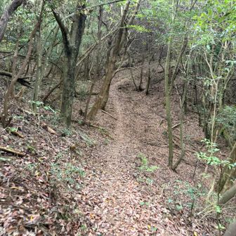 引き返して、雁回公園コースへ