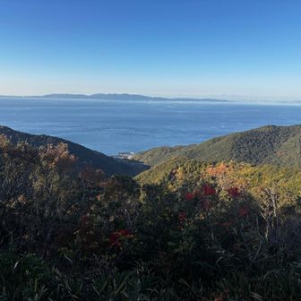 山頂からの景色　低山でも良い景色😊