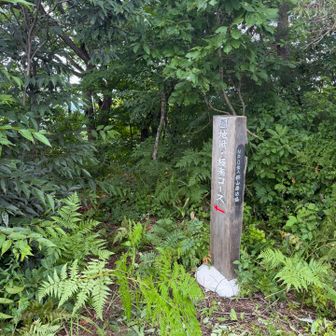 地獄・極楽コース
どんなの！
