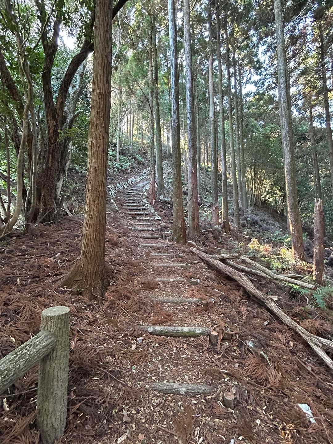 千羽富士-千羽ヶ岳 往復コースの写真