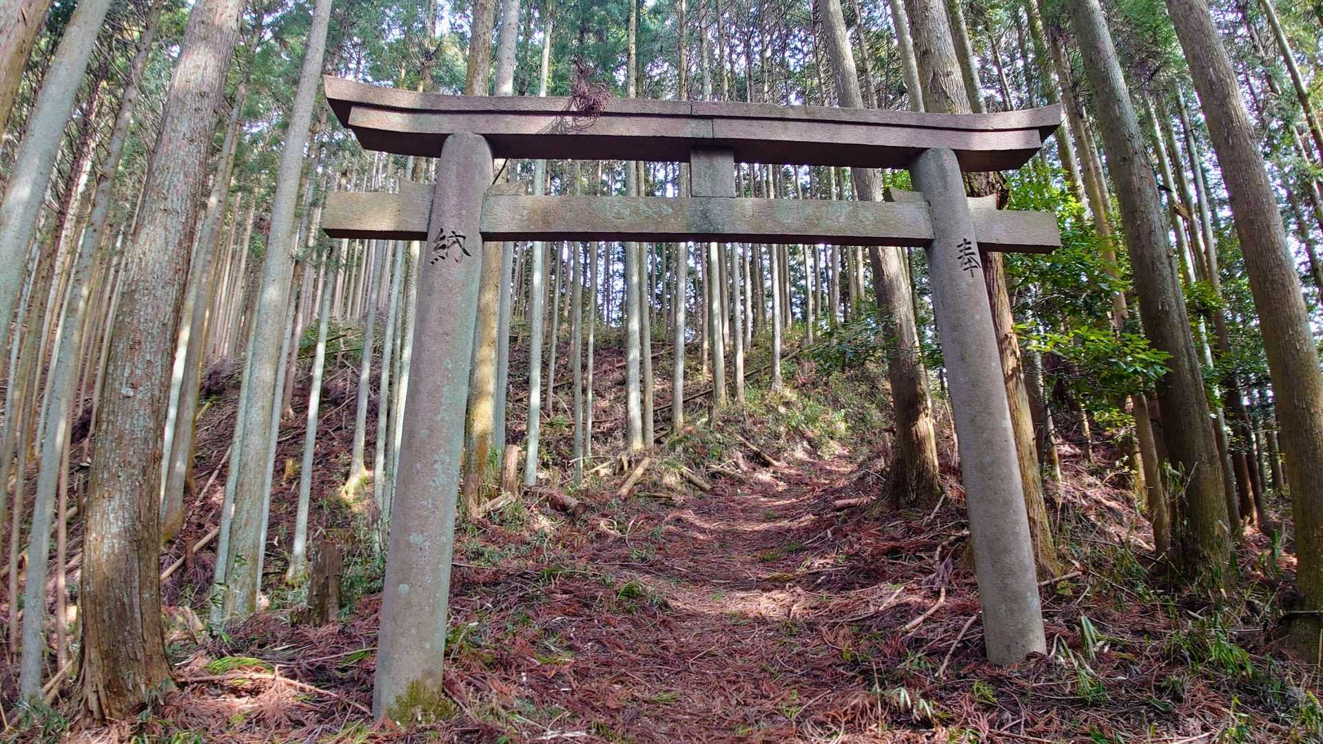 この鳥居はきっと山頂にある「都賀那岐神社」の鳥居だと思われます😊
ここをくぐると神聖なる領域です✨
