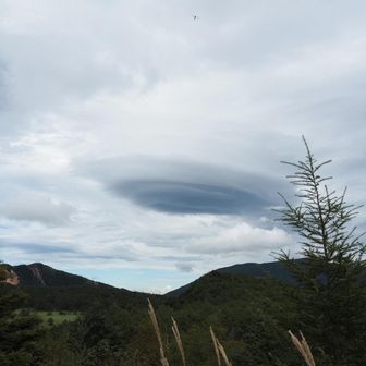 UFOみたい❗️