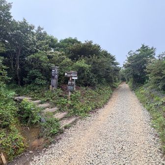 勢至平分岐　右側の道は、くろがね小屋迂回路