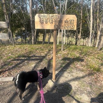 あっという間に山頂