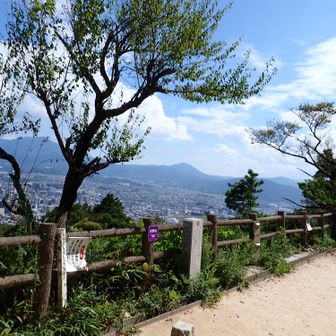 山頂到着