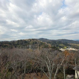 衣笠山山頂から大楠山方面