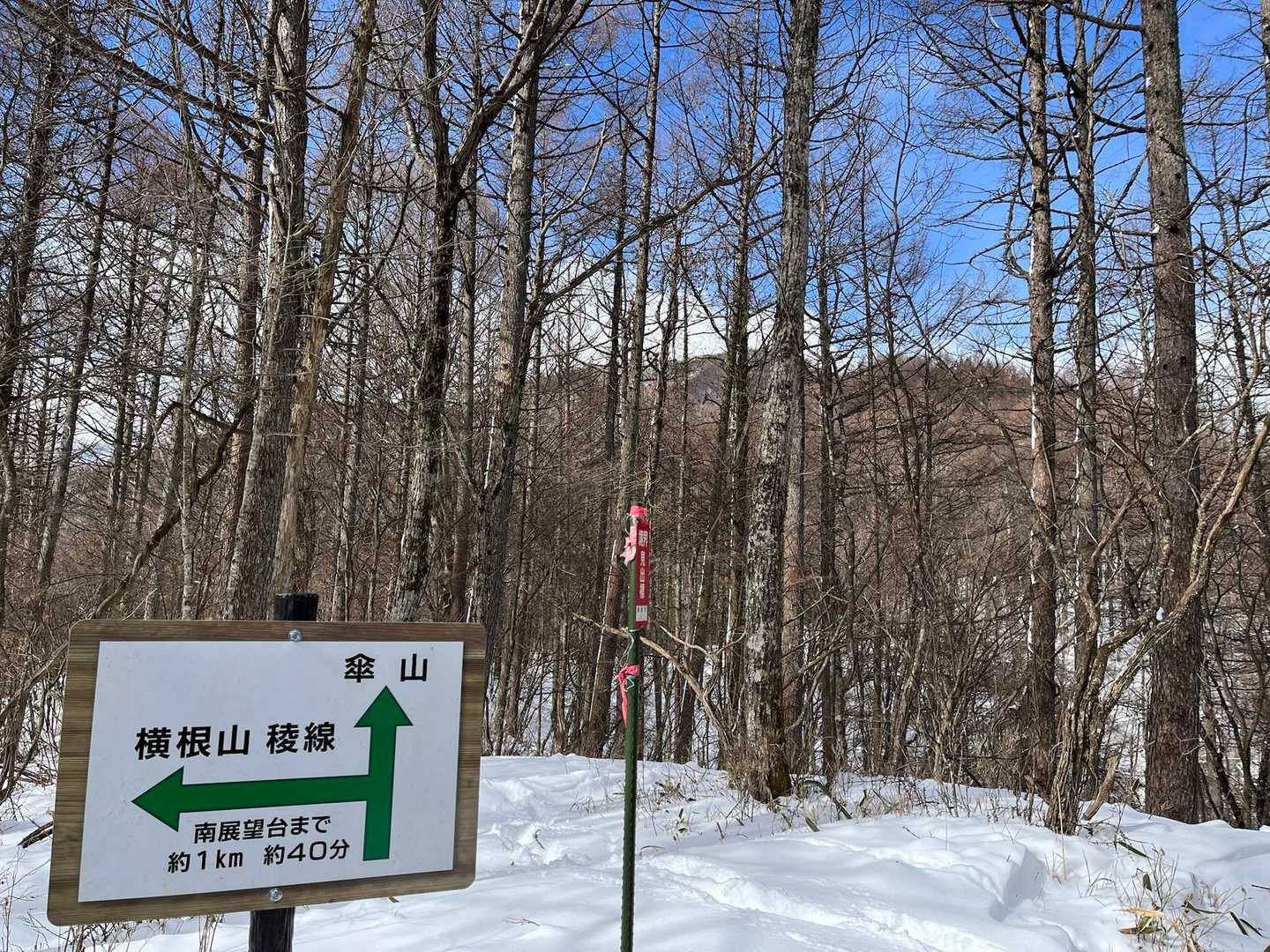 山頂が見えます