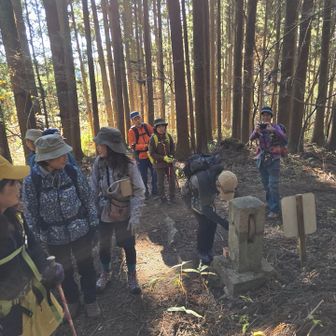 無病息災
生活愉快

四文字に願いを込めて🙏