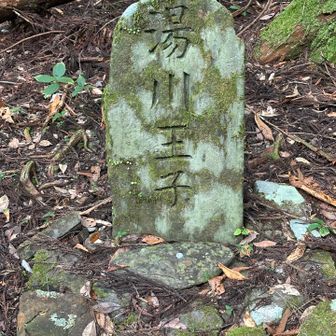 湯川王子🤴