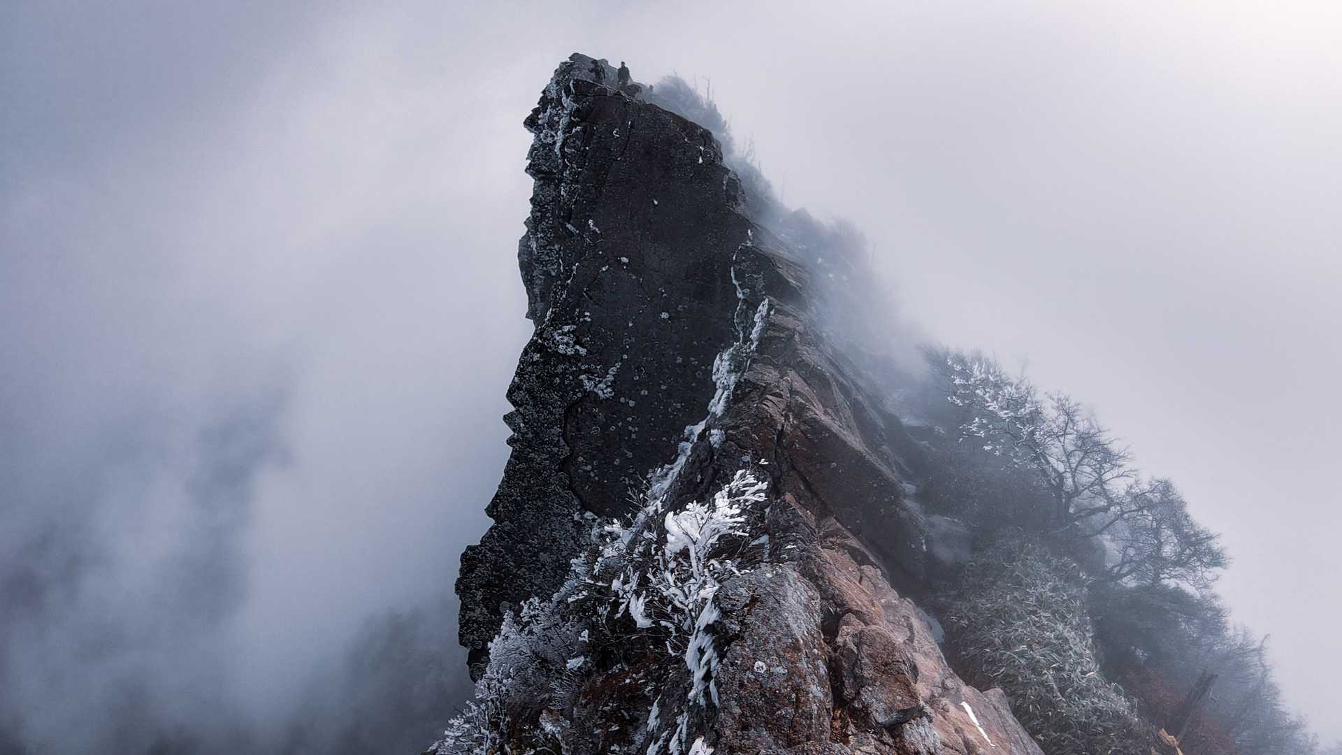 土小屋登山口-石鎚山 縦走コースの写真