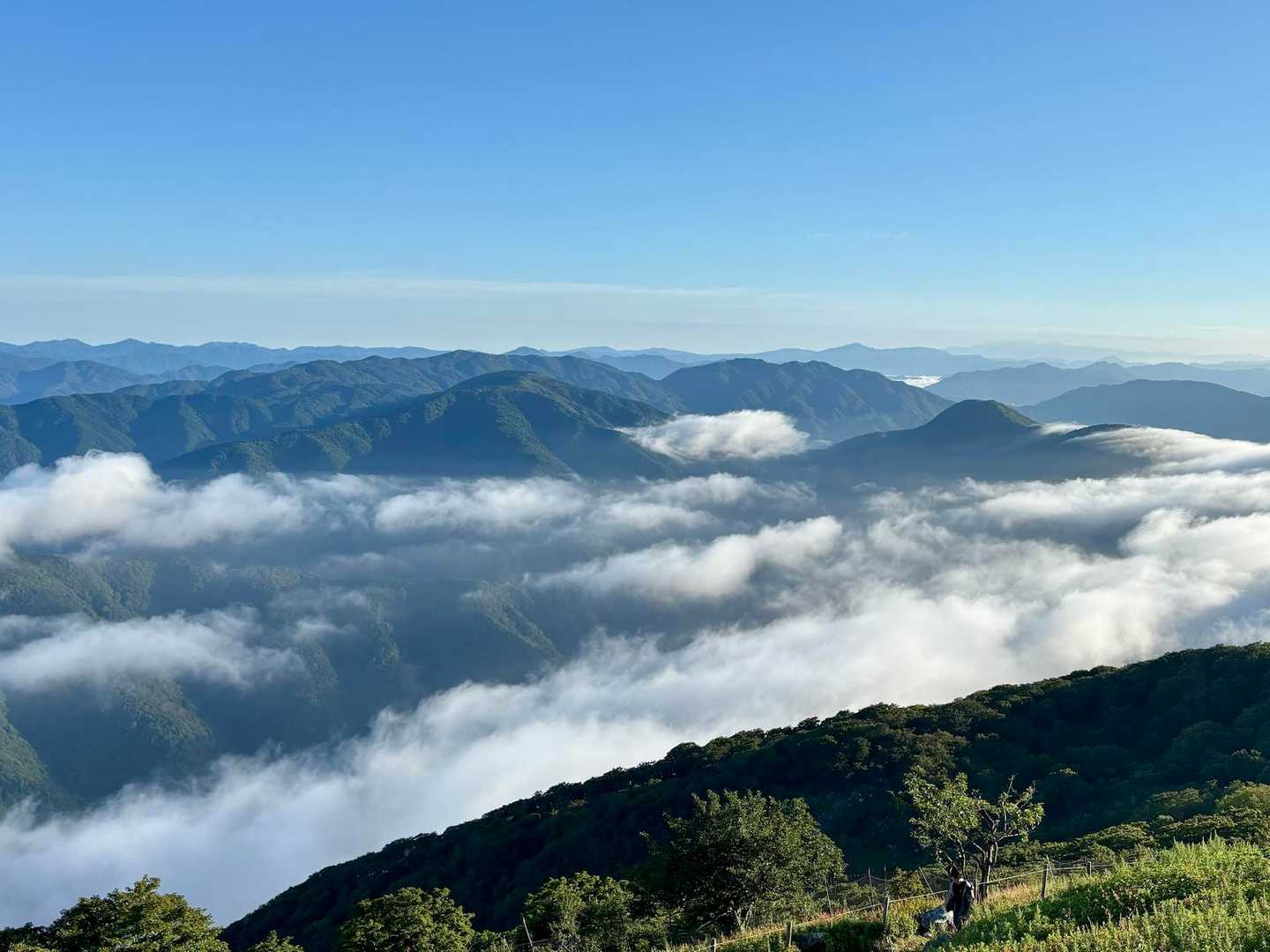 西登山道-中央登山道 周回コースの写真