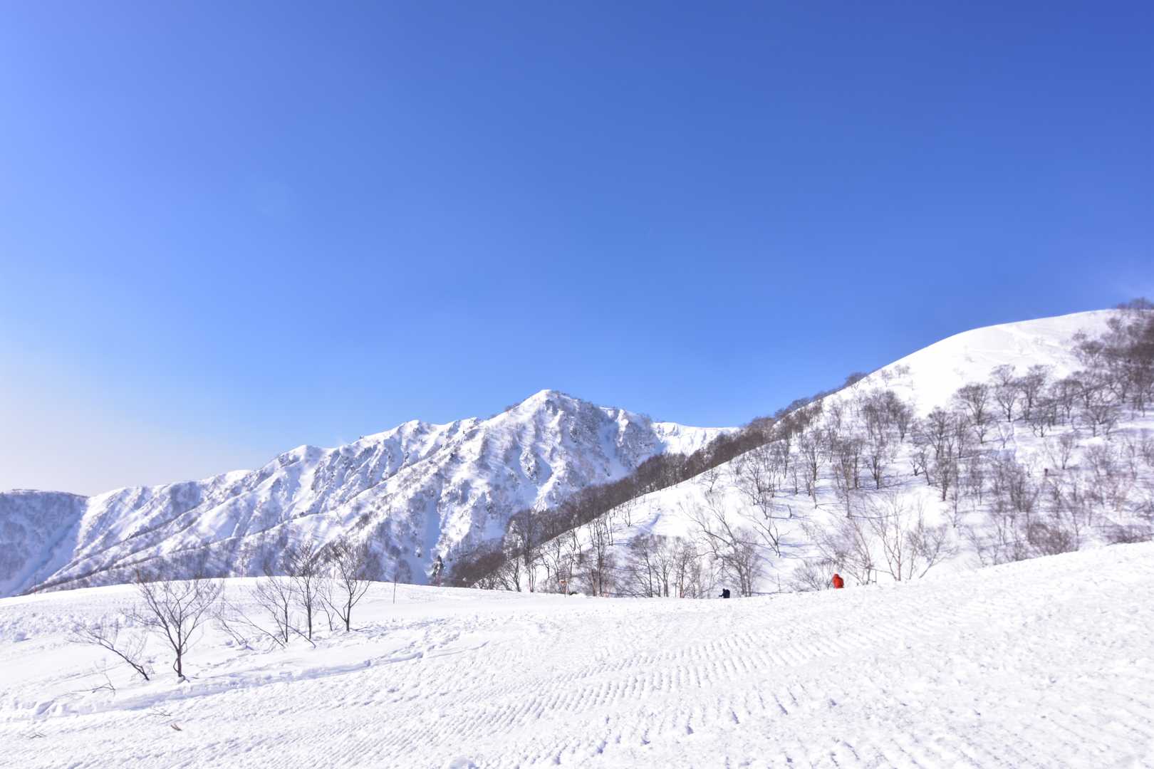 爺さんやぁ！（爺ヶ岳？