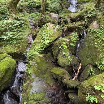 その上にもまだ滝が見える