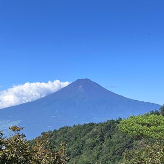 そこから見た富士山🗻
もう雪もスッカリ消えていますね
初っ端に見れるここからの景色が一番大きくて迫力ありました🤗