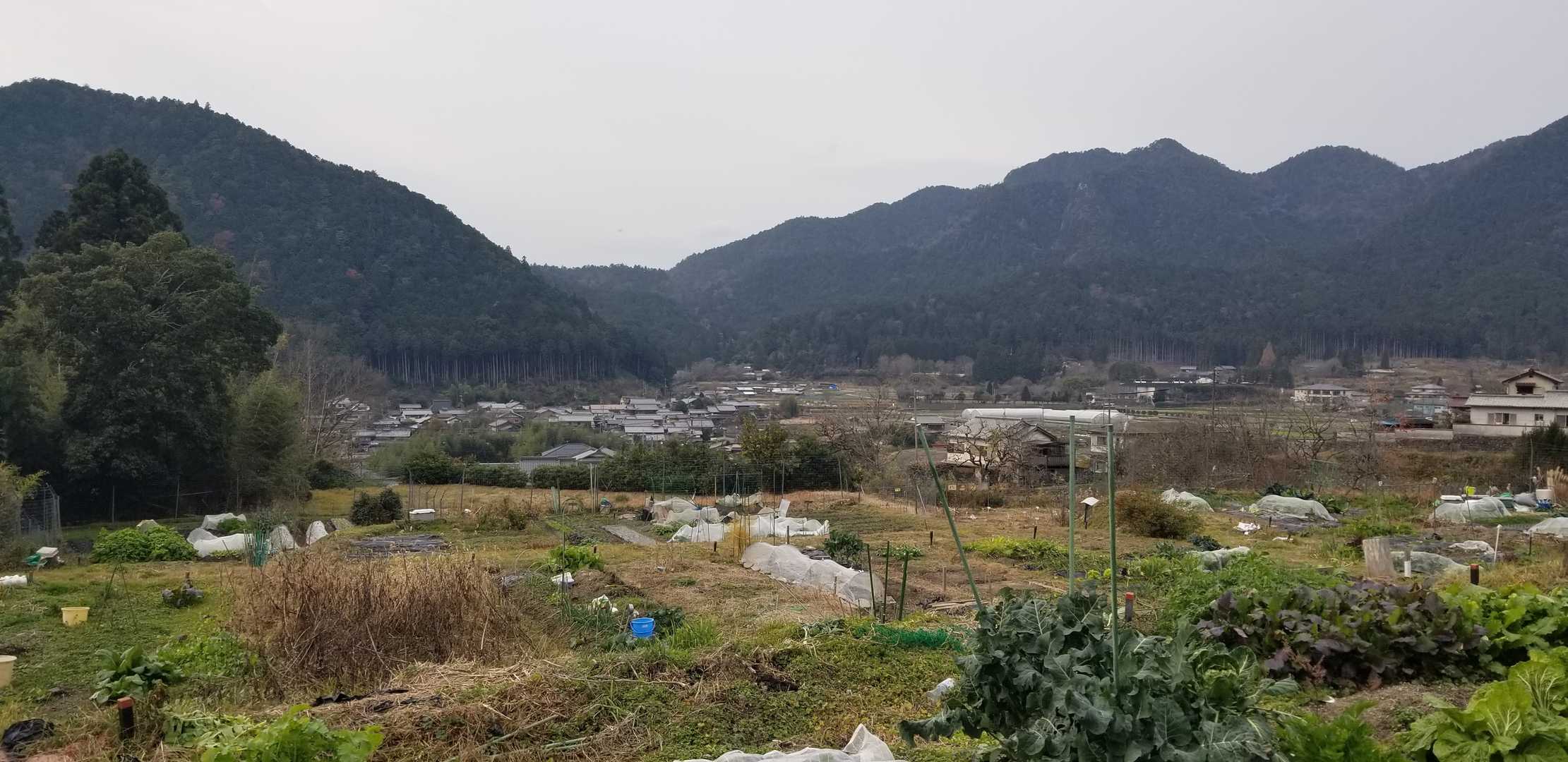 大原の里山。いつ見ても、静かでほっとします。