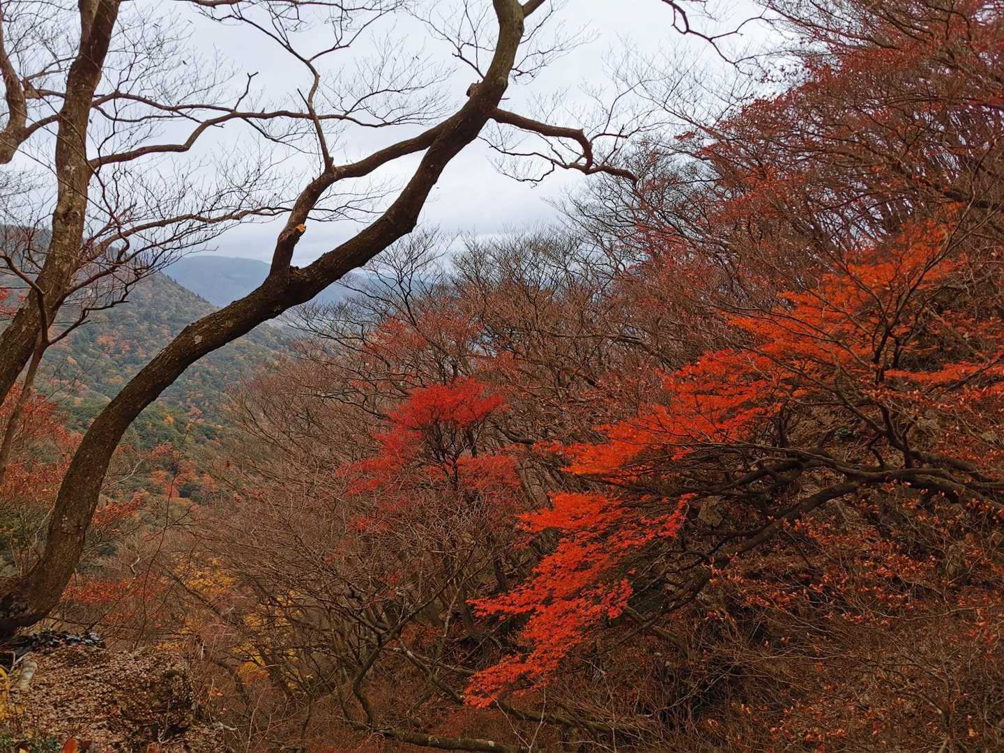北山-釈迦ヶ岳 往復コースの写真