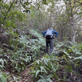 大師山へ　
この先金剛寺へお参りし御朱印を頂き
登山口へタクシー🚕でワープして（1240円）
お疲れ⛰️でした