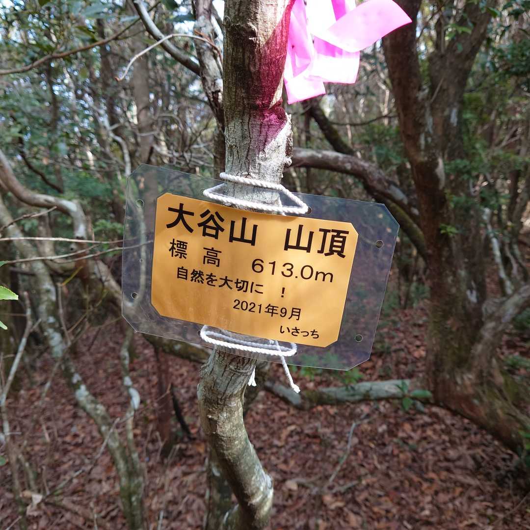もちろんいさっちプレートも😄