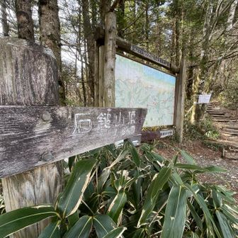 14時46分かぁー❕山頂まで行けるかなぁ😅