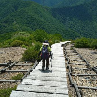 猿ヶ京の方とワラジカケ山で意気投合して三国峠へ向かいます🚶🚶  天国への階段を下る…まだ長生きするね🤣