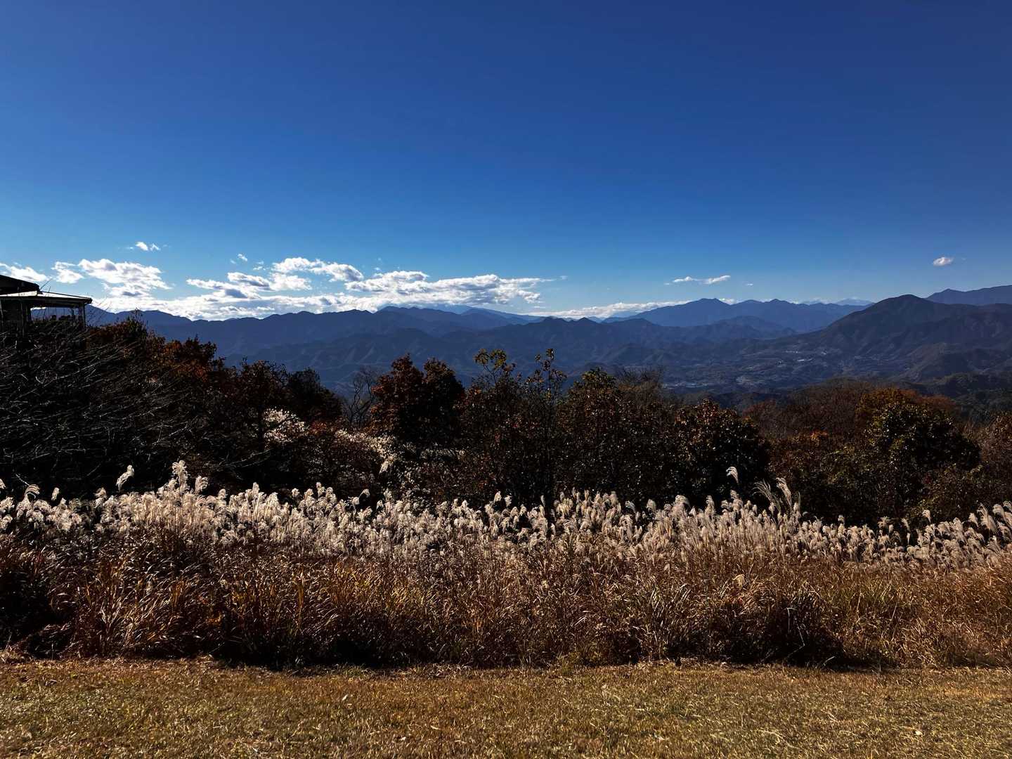 陣馬高原下-陣馬山-景信山-小仏バス停 縦走コースの写真