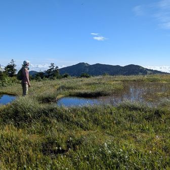 YAMAPの山頂ポイントはこのあたり。立っているところより池の水面が高いのが不思議な感じ