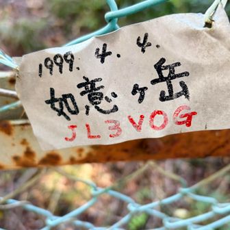 如意