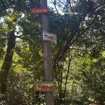 サントリー山・295m

サントリーの山崎蒸溜所との関係からその名がついたと…🤔