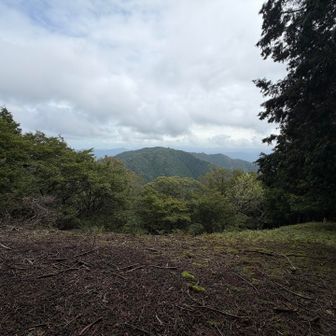 西床尾山から東床尾山を見てます👀