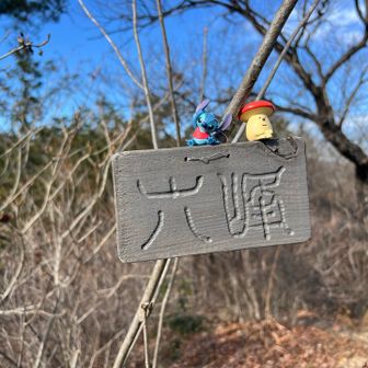 六峰
この辺りからピークの間隔が狭くなる