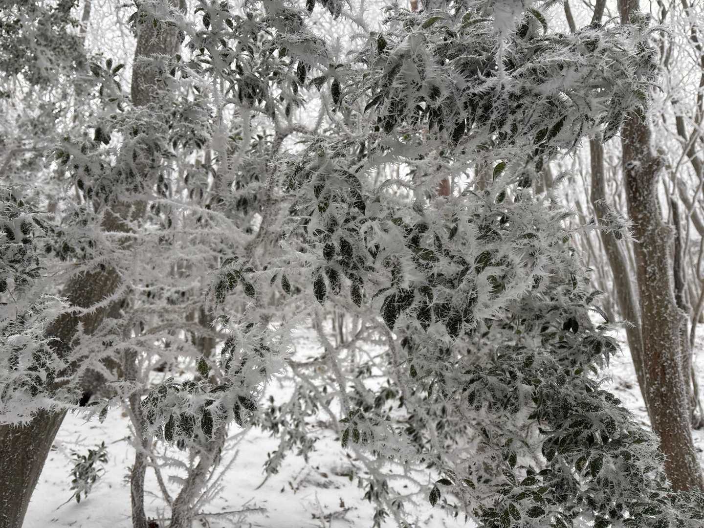 お〜
今季初雪山🏔️