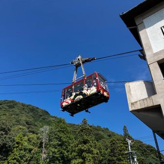 乗らないので写真だけ