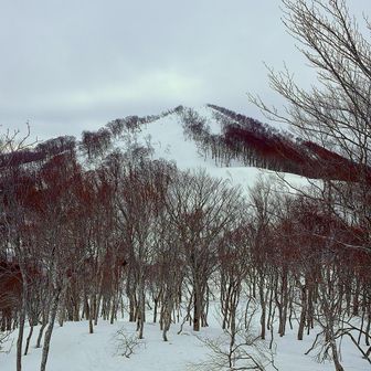 ビクトリーロードを進むと