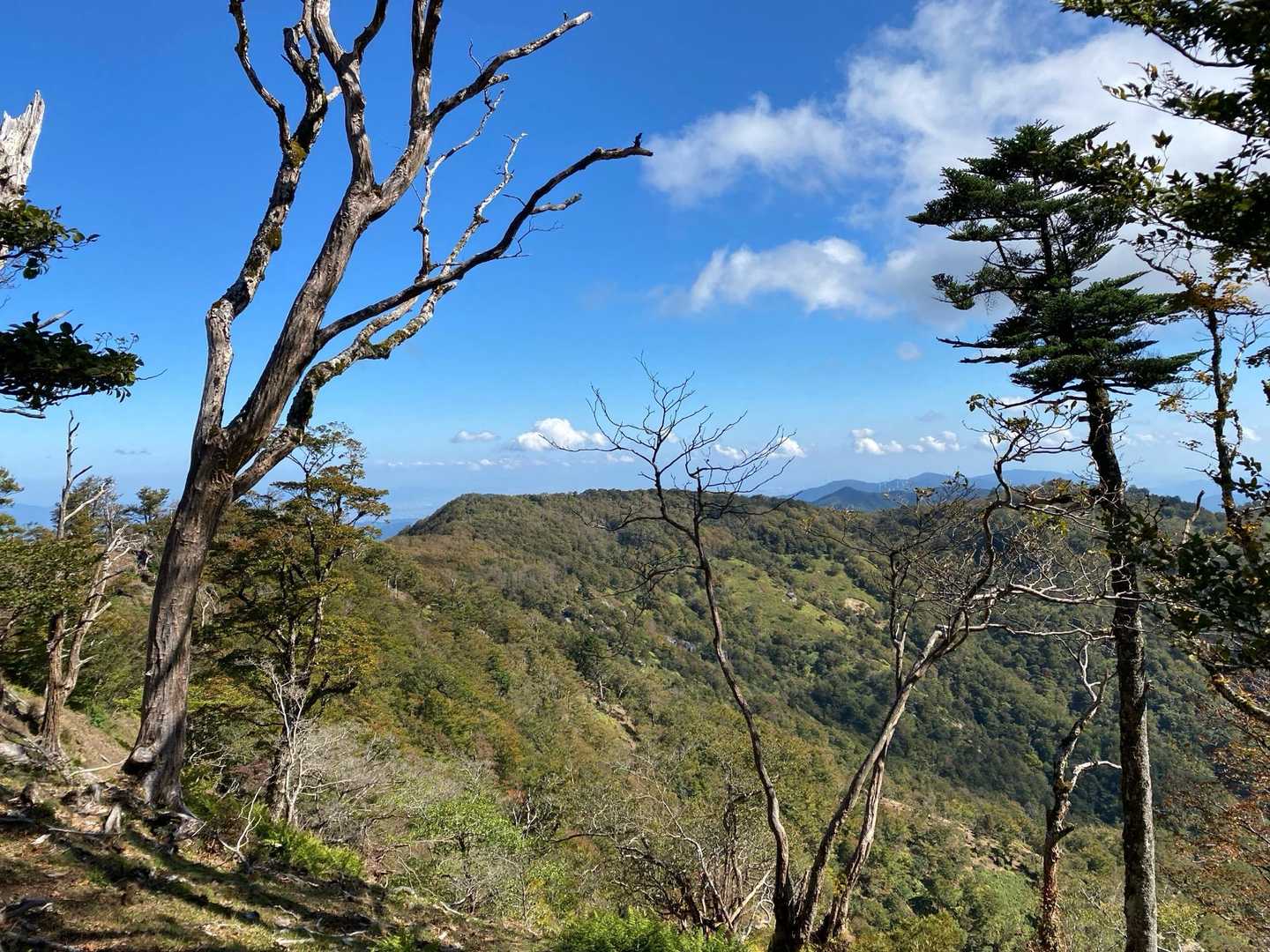 雲早山登山口-雲早山 往復コースの写真