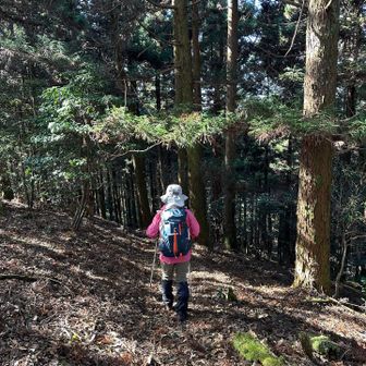 江川岳の眺望無しの少し陽の当たる場所でお昼を済ませ、下山のスタート▶️
熱い味噌汁もすぐ冷める気温でお湯を使いきって温まる…🥹

