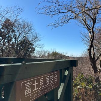 富士山は見えなかった。