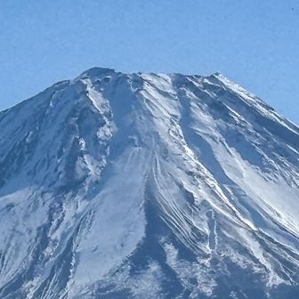 山頂部ズーム📷

1月にしては雪が少ない気がするなー