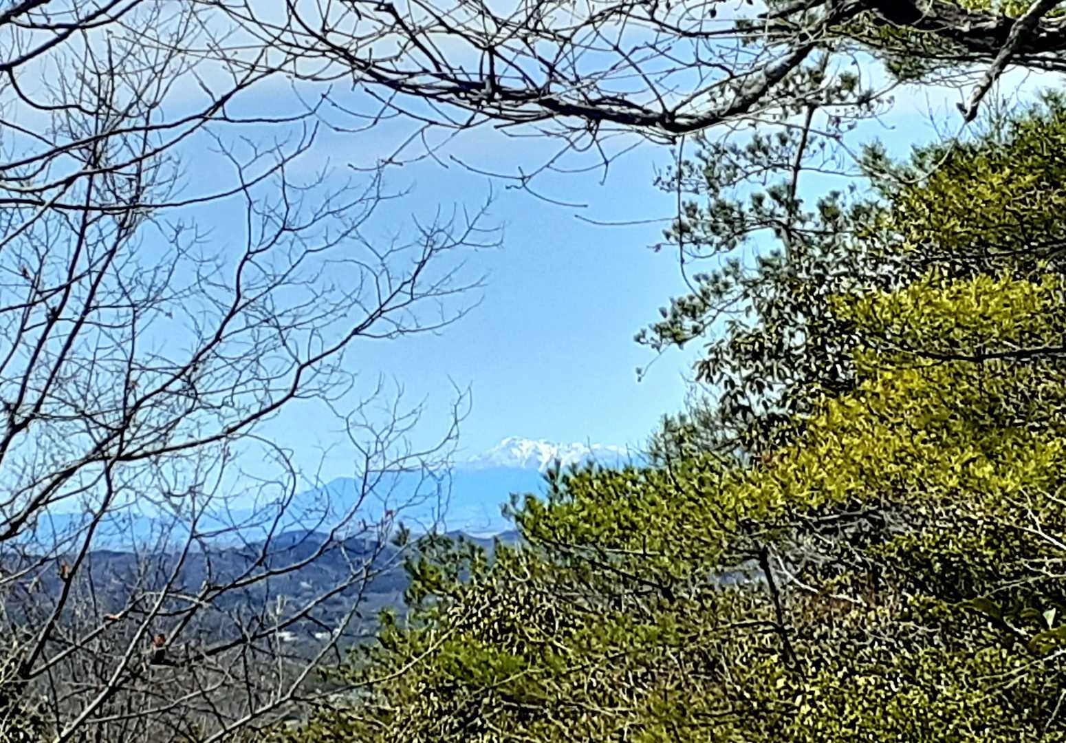 伊吹山 チラリ 