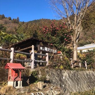 休憩所。ここまで200メートルの標高差。舗装路だけど、急坂できつい。