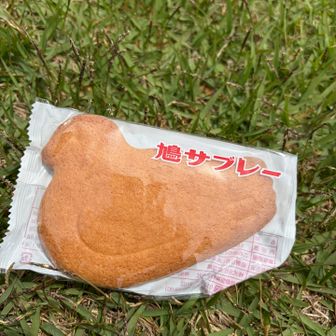 持って行ったけれど、暑いから🫠直ぐ下山ダー
