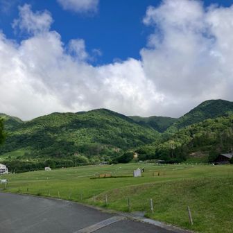 綺麗