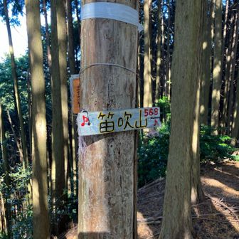 かわいい山頂表示🎵🪈🎵