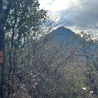 どこから見ても三上山は整った円錐形