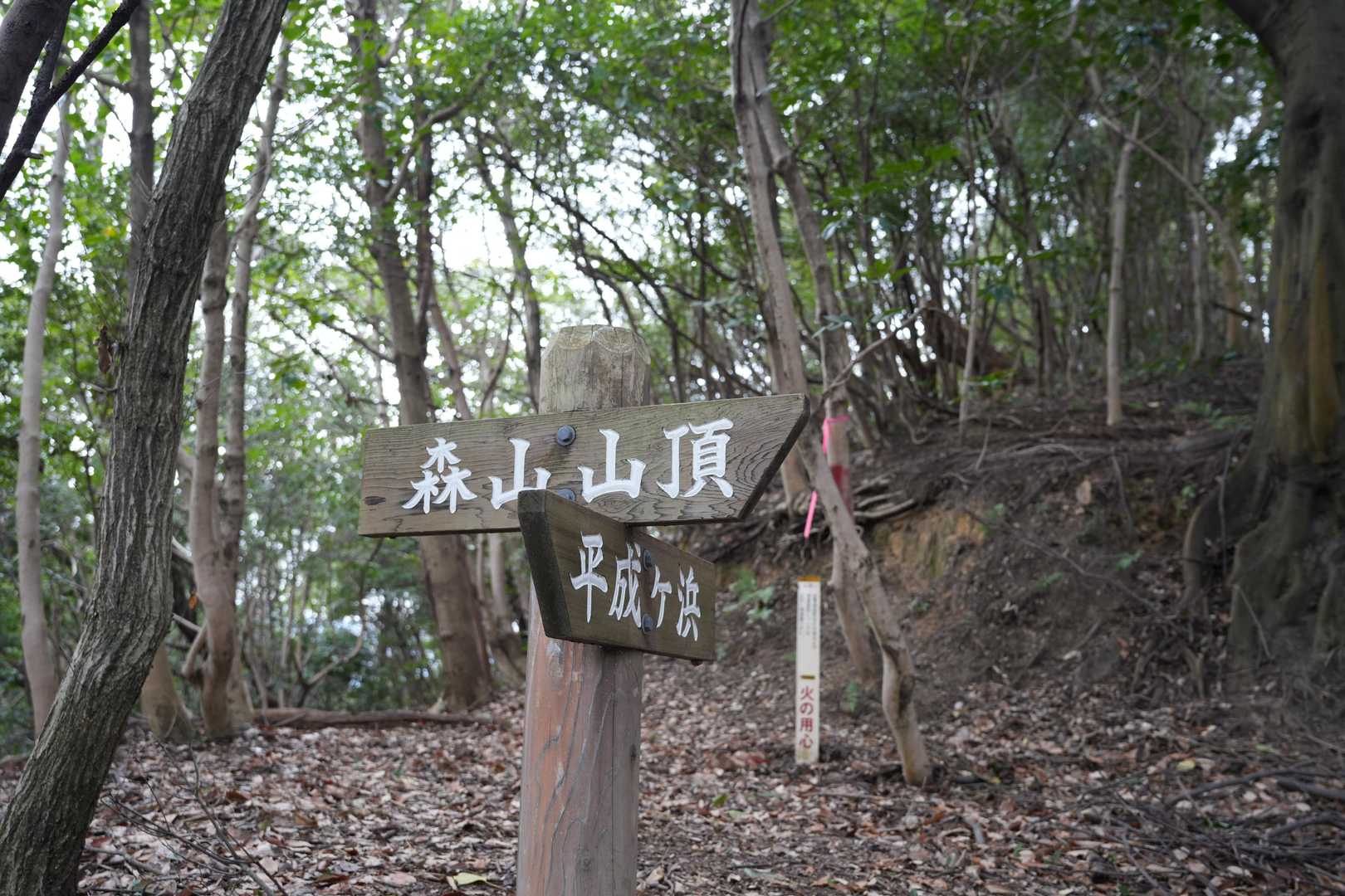 森山 往復コースの写真