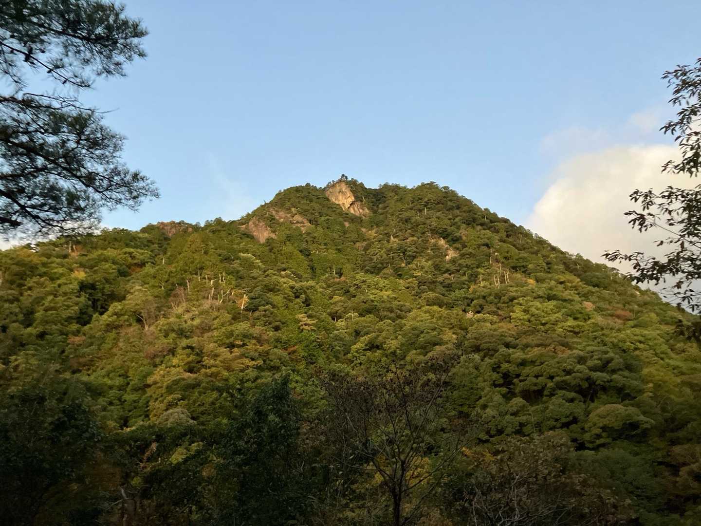 仙ヶ岳 往復コースの写真